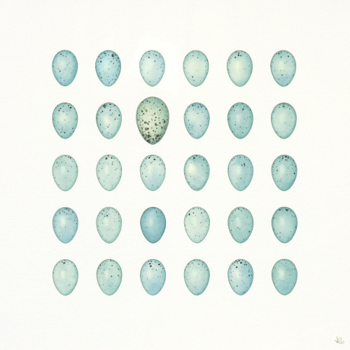 Thirty Blue Eggs<br>(29 x 29 cm) water colour