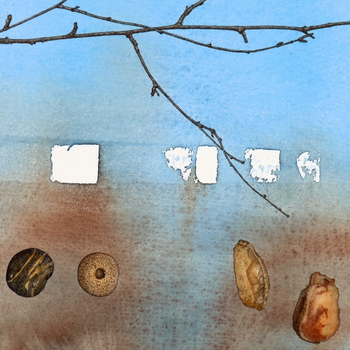 Birch/Fossil - detail