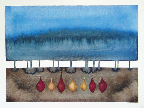 Bulbs (29 x 38 cm)  water colour