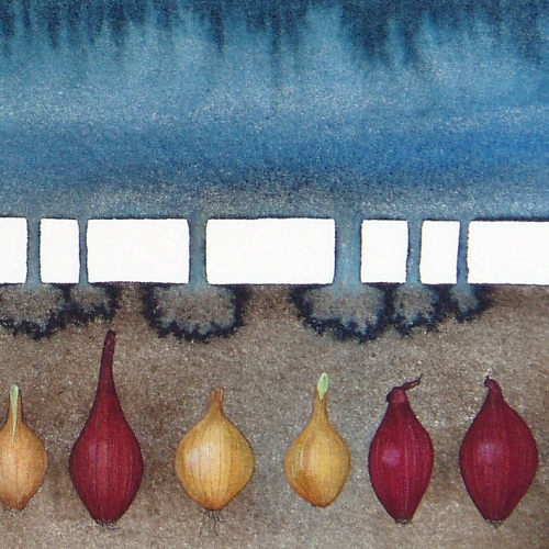 Bulbs - detail