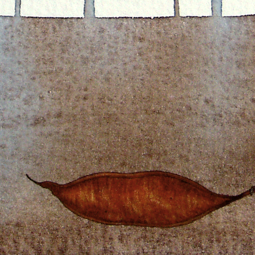Red Pod - detail