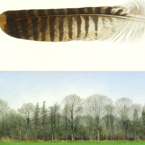 Buzzard's Nest by Wheat Field<br>detail