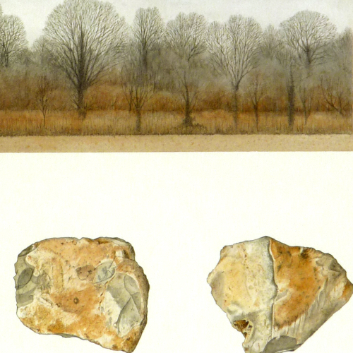 Lyels Wood and Buzzard's Feather<br>detail
